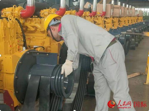 新疆 勞動創(chuàng)造美好生活——畜牧漁業(yè)飼料銷售的繁榮與發(fā)展