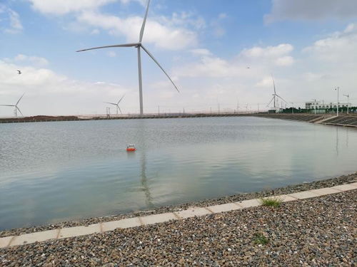 智慧漁業 水質監測守護藍色生態，協同飼料銷售驅動產業升級